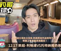 关于南安普顿战平托特纳姆热刺，难分胜负缠斗的信息